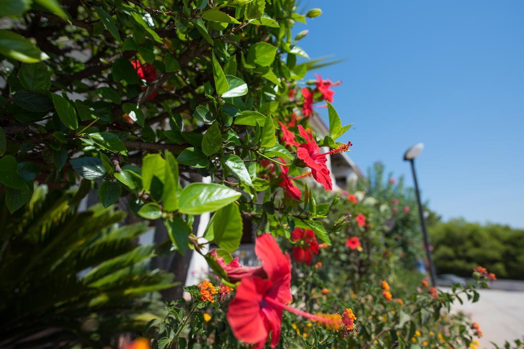 שאקה Residence Capo San Marco & Renella מראה חיצוני תמונה